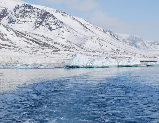 artic Picture | See the Arctic Up Close - ABC News