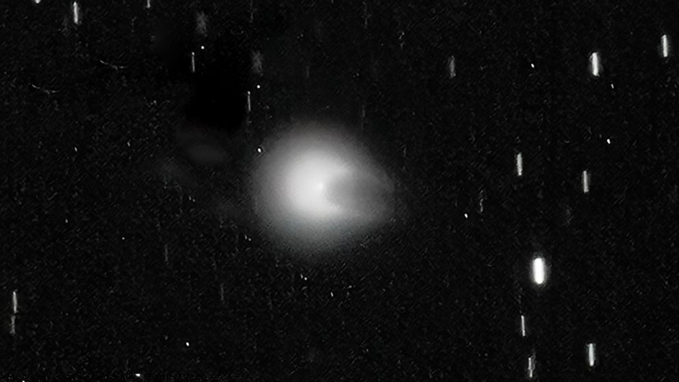 Комета 12p pons brooks. Астрофото кометы 12p понс Брукс. Комета Понса Брукса 2024. Орбита кометы 12p/Понса Брукса.