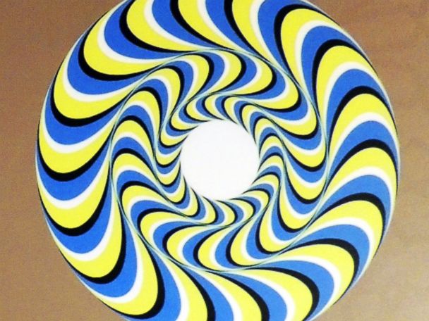Speed Feed: Is This Dress Gold and White, or Blue and Black? Speed Feed: Is This Dress Gold and White, or Blue and Black?