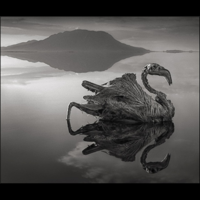 lake natron images lake natron images