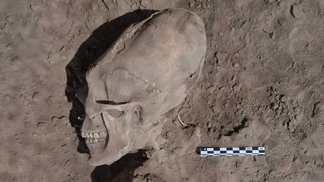 Alien'-Like Skulls Found in Mexico - ABC News