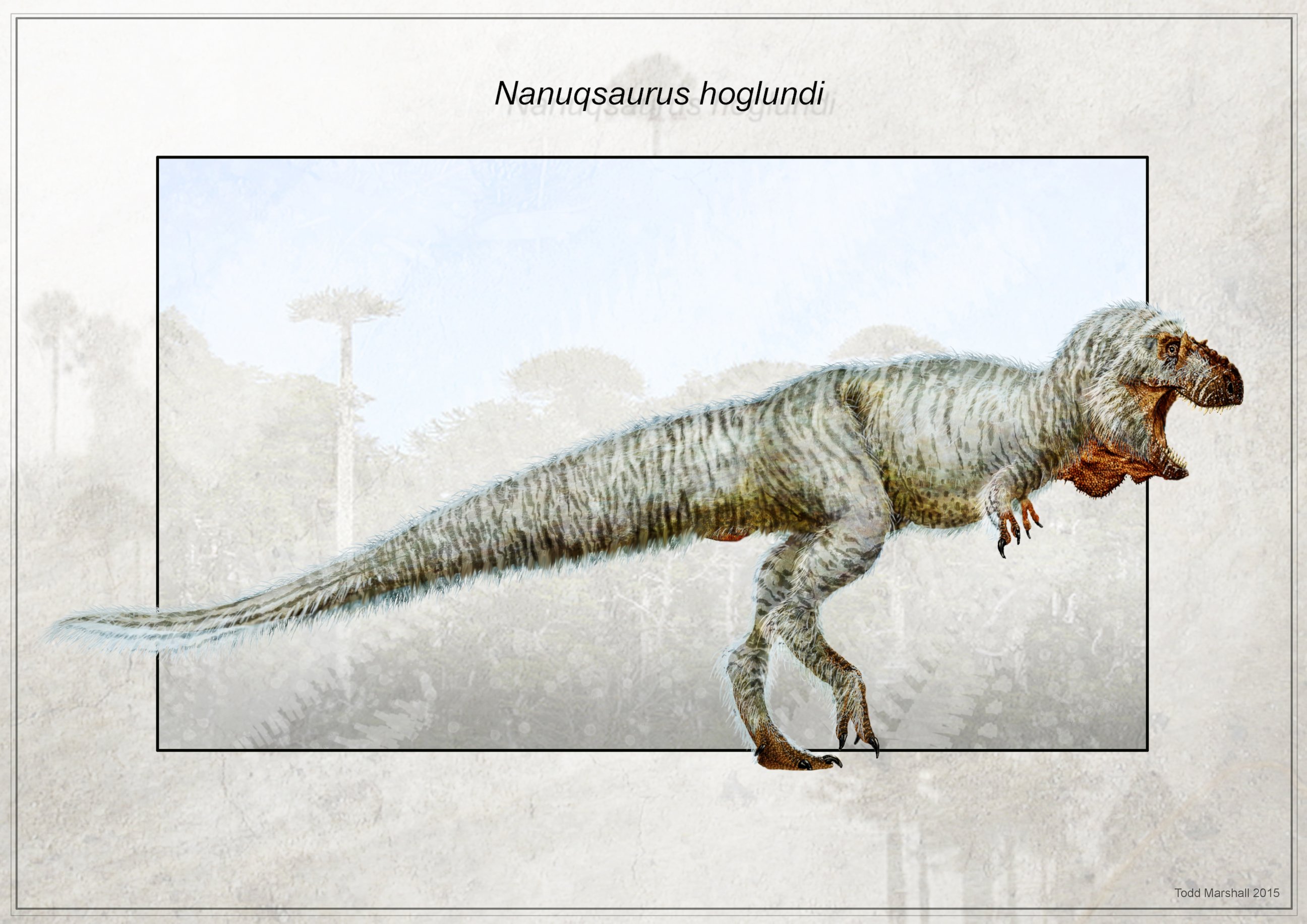 PHOTO: An artistic rendering of a Nanuqsaurus hoglundi is pictured here. 
