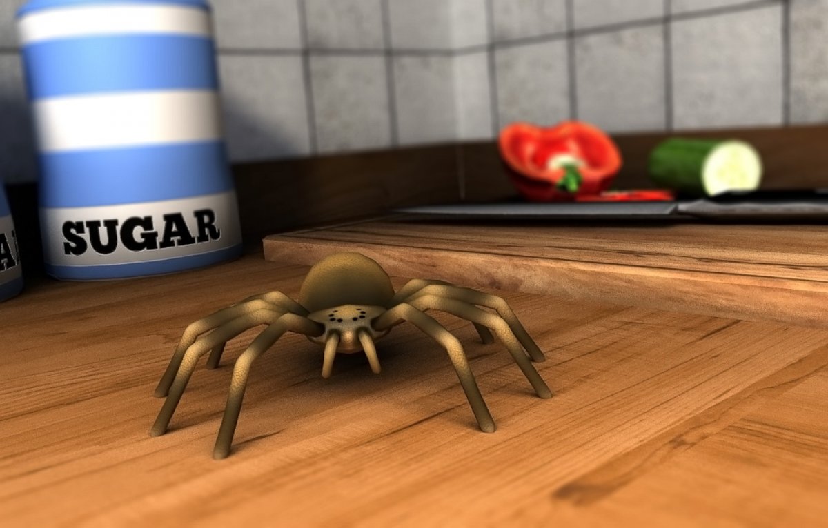 PHOTO: Soon you'll be able to look at this "high-fear" spider without shaking. 