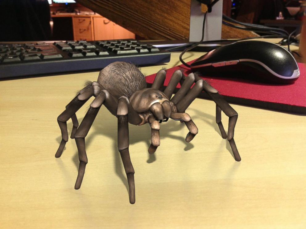PHOTO: Eventually, you'll be able to look at this tarantula photo without fear, the app makers say.