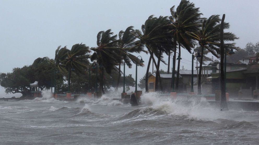 PHOTO: Palm trees buckle under winds and rain as Hurricane Irma slammed across islands in the northern Caribbean on Wednesday, in Fajardo, Puerto Rico Sept. 6, 2017.