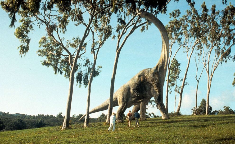 PHOTO: A brontosaurus eats leaves in a scene from the film "Jurassic Park", 1993.