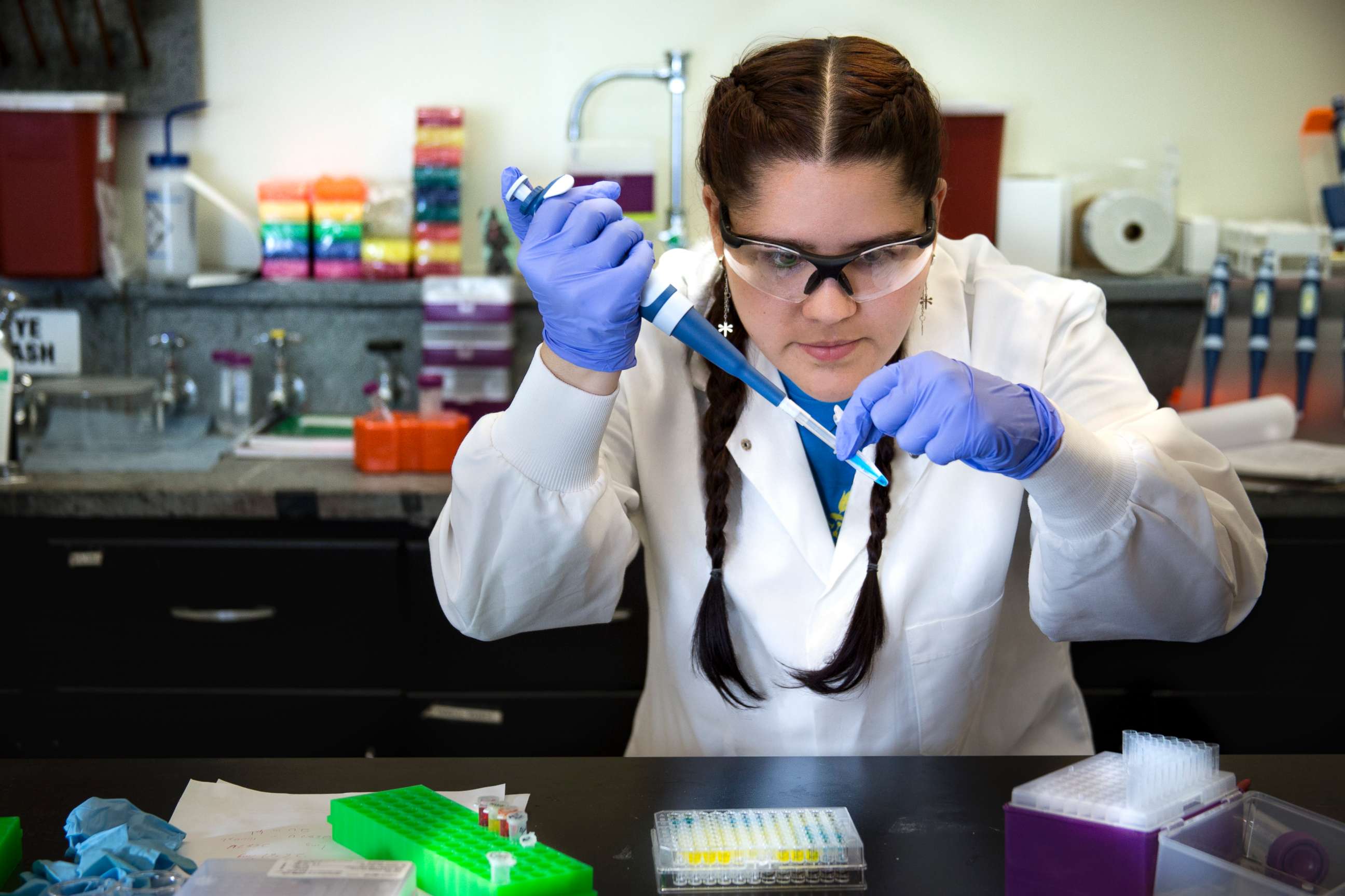PHOTO: Graduate student, Juliana Agudelo, recreates a step in a blood sampling forensic method, June 2016.