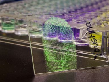 PHOTO: University at Albany chemistry research group, led by Assistant Professor Jan Halamek, identifies fingerprints for amino acids.