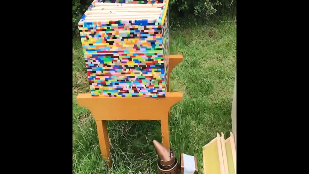 Inside a Lego beehive | GMA