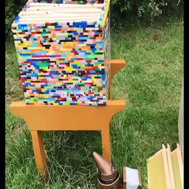 A beekeeper who built a fully functioning hive using Lego offers a sneak peek inside of his creation.