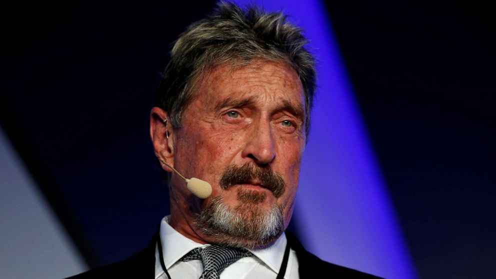 PHOTO: John McAfee, co-founder of McAfee Crypto Team and founder of McAfee Antivirus, speaks at the Malta Blockchain Summit in St. Julian's, Malta, in this Nov. 1, 2018, file photo.
