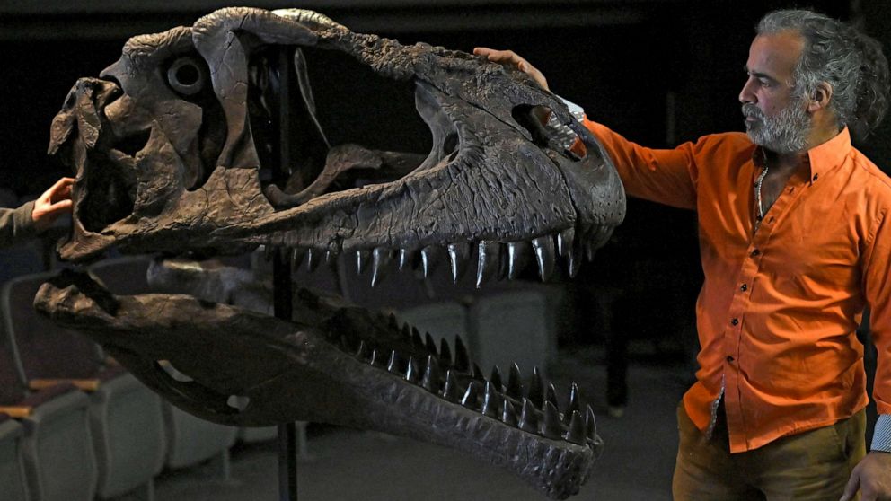 PHOTO : Le paléontologue argentin Sebastian Apesteguia montre une réplique du fossile d'un Meraxes gigas, un dinosaure carnivore géant récemment découvert, à l'Université Maïmonide de Buenos Aires, le 7 juillet 2022.