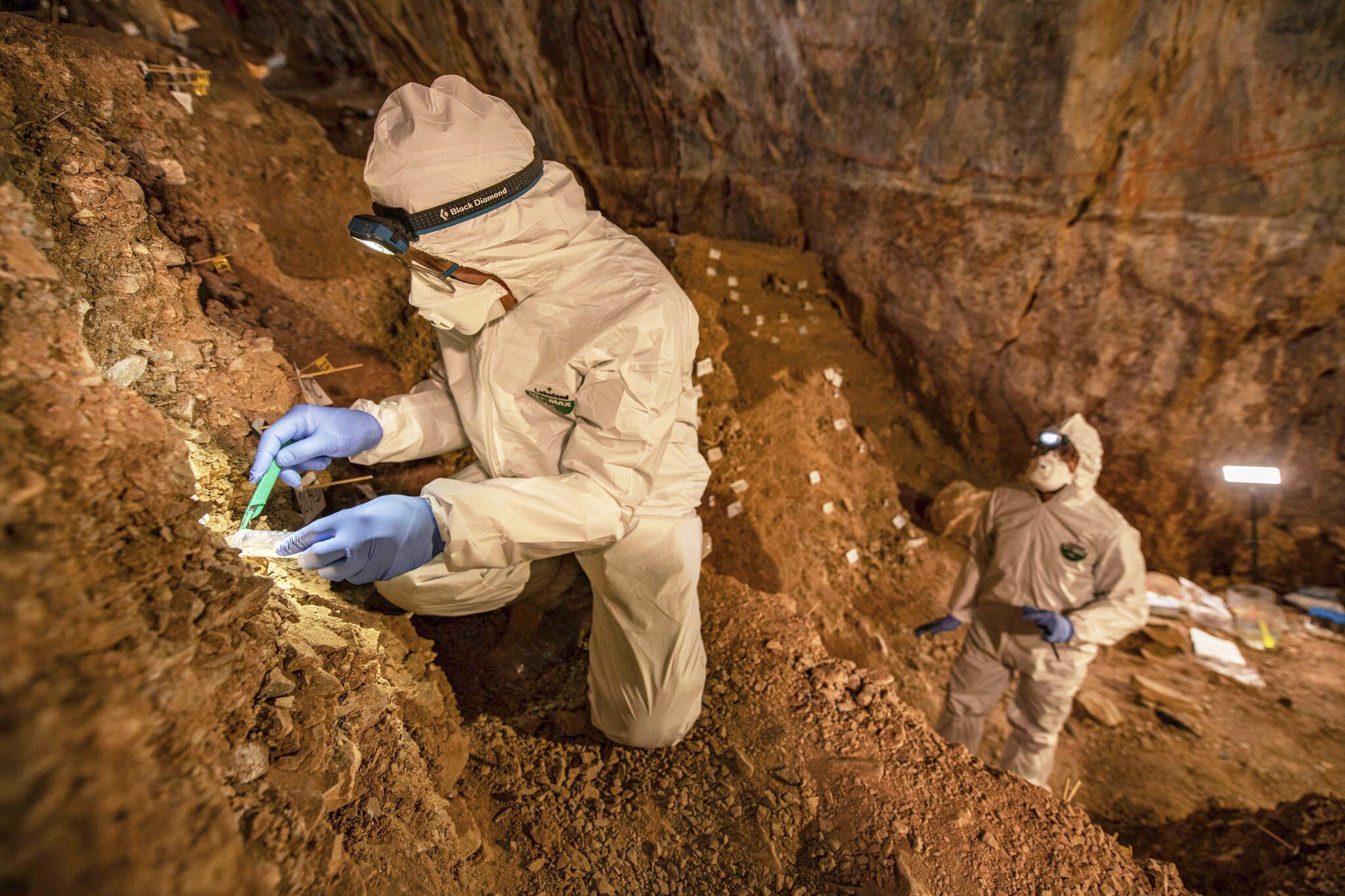 PHOTO: In this 2019 photo provided by Devlin A. Gandy, assistant professor Mikkel Winther Pedersen from the University of Copenhagen takes samples of cave sediments to look for DNA in Zacatecas, central Mexico.