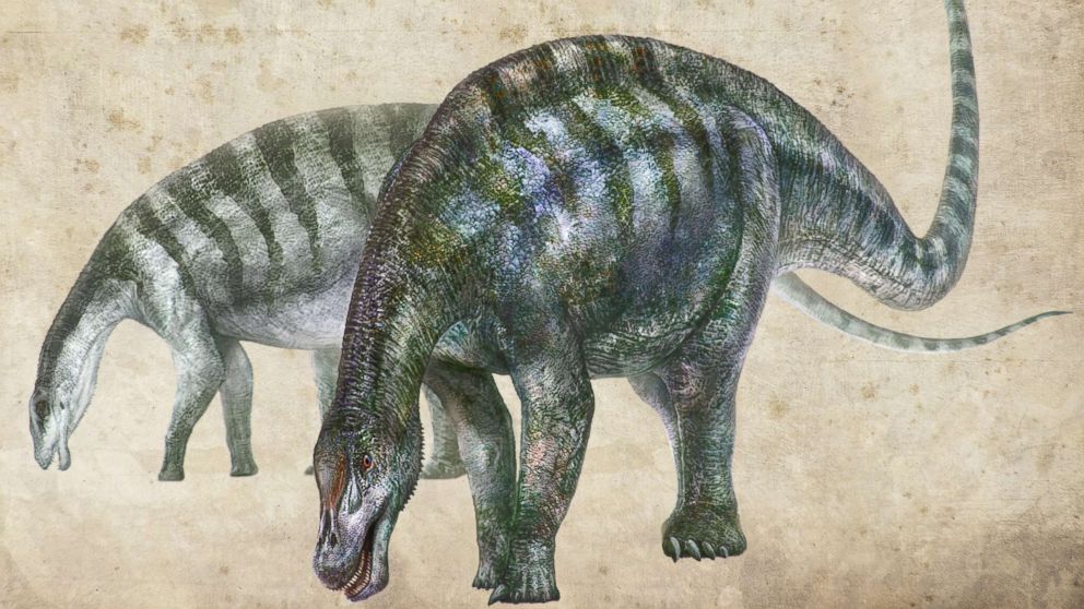 PHOTO: An artist's rendering of Lingwulong shenqi, a newly discovered dinosaur unearthed in northwestern China, appears in this image provided July 24, 2018.