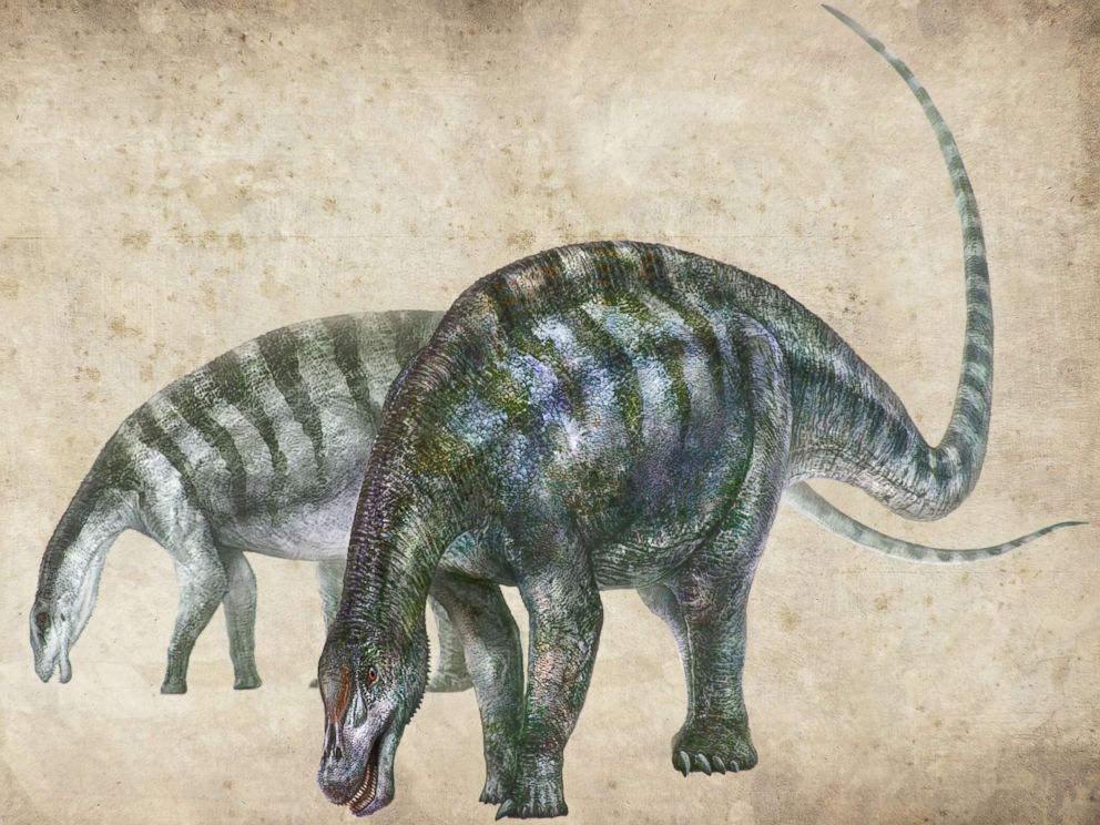 PHOTO: An artists rendering of Lingwulong shenqi, a newly discovered dinosaur unearthed in northwestern China, appears in this image provided July 24, 2018.