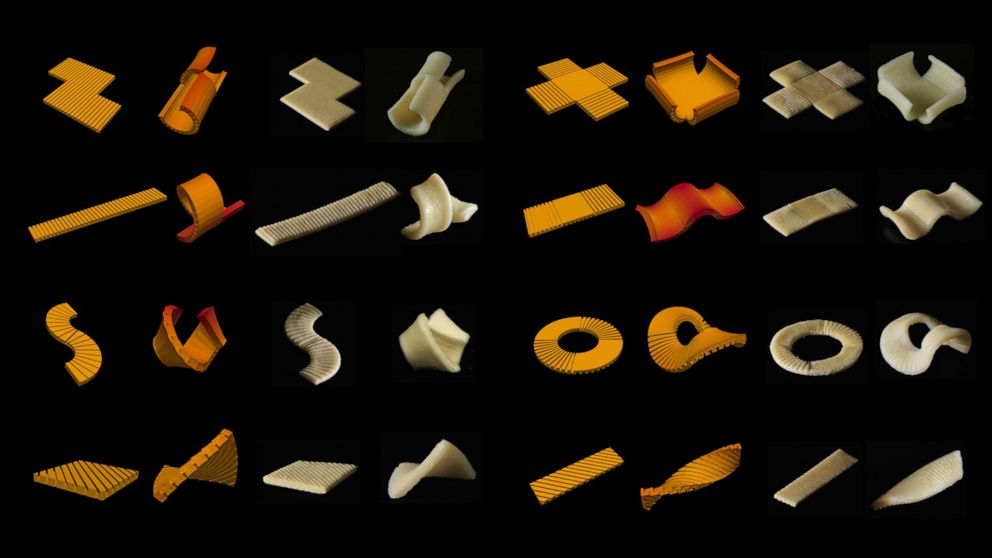 PHOTO: Scientists have designed pasta that folds flat but regains its traditional shape as it's boiled.