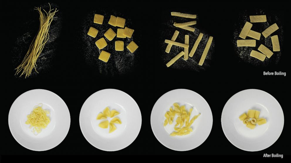 PHOTO: Scientists have designed pasta that folds flat but regains its traditional shape as it's boiled.