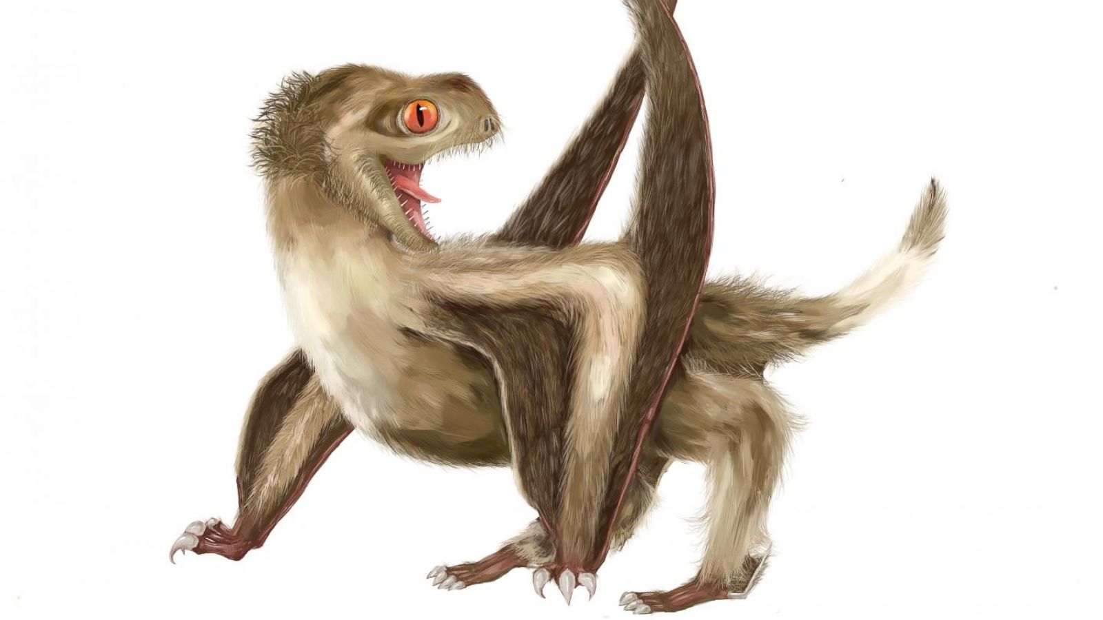 Why we think that some extinct giant flying reptiles cared for their young