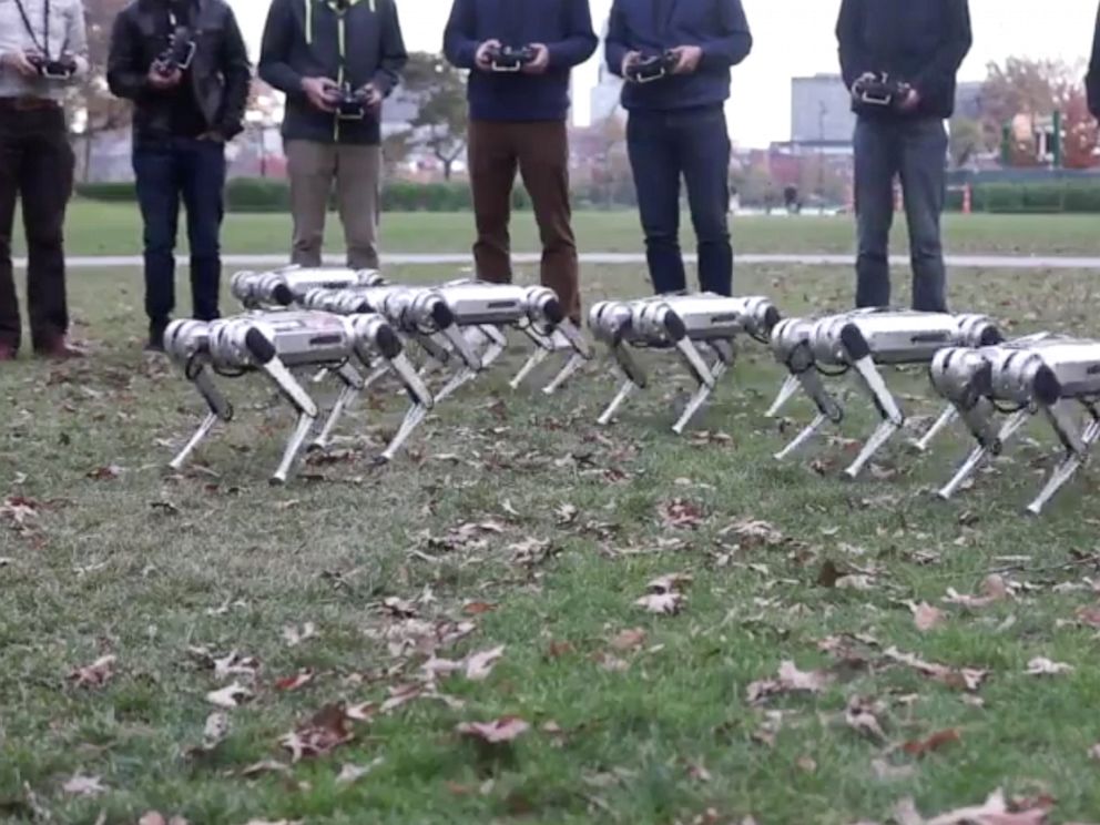 PHOTO: MITs mini cheetah robots are pictured here enjoying the fall.