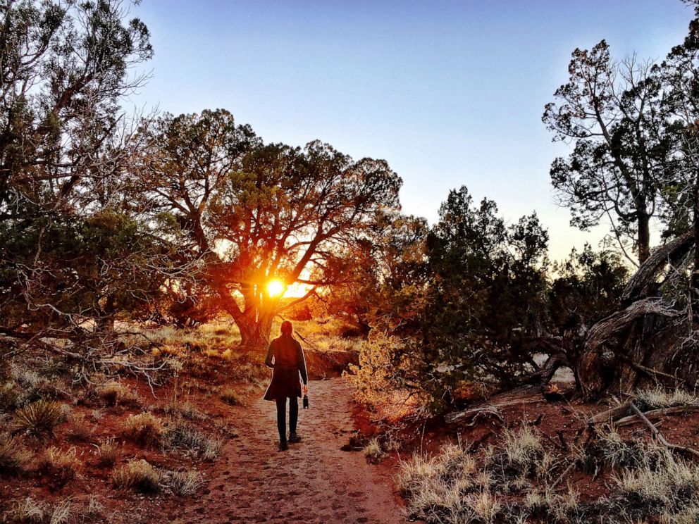 PHOTO: A hiker walks through a wooded area in Navajo County, Arizona in an undated stock image.
