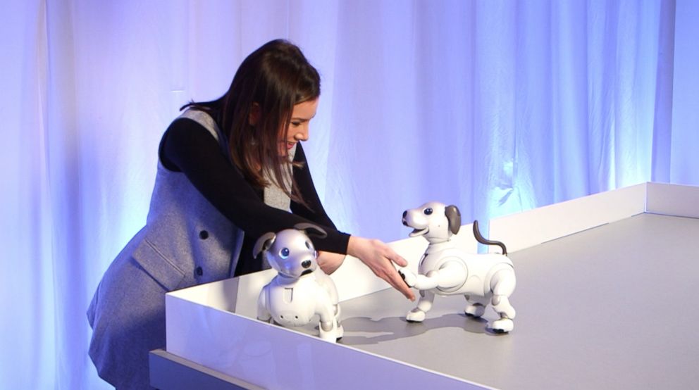 PHOTO: Sony unveiled Monday the new "aibo" autonomous entertainment robot dog. 