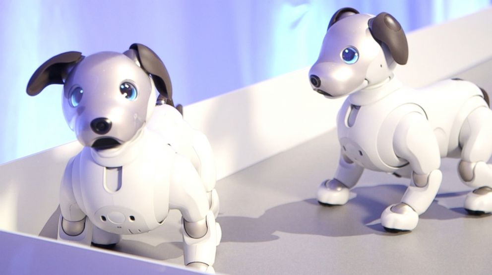 PHOTO: Sony unveiled Monday the new "aibo" autonomous entertainment robot dog. 