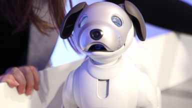 best robot dog 2018