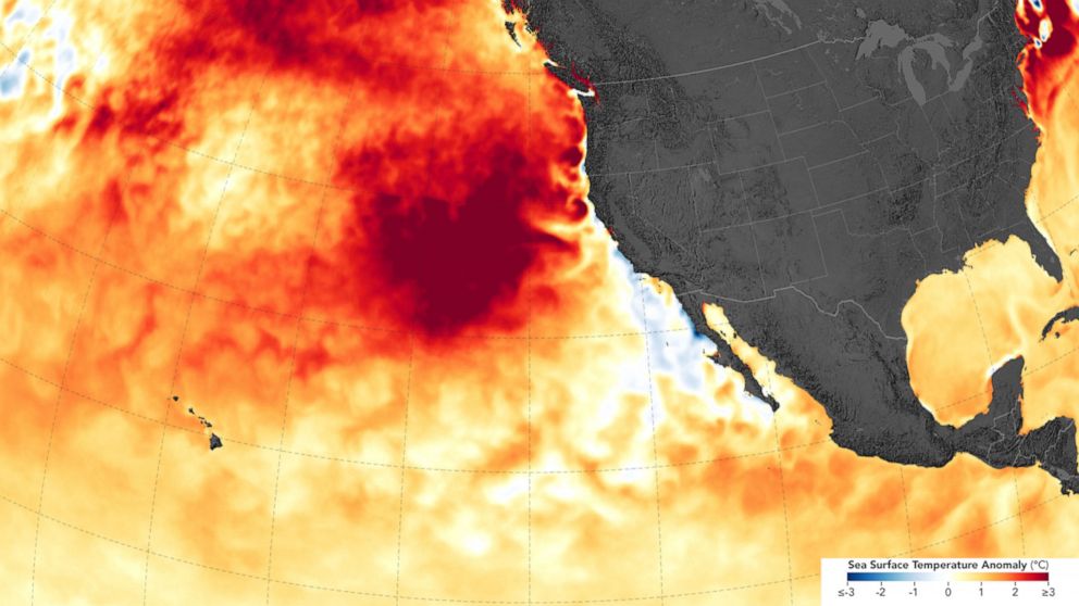 severe-marine-heat-waves-linked-to-human-caused-warming-abc-news