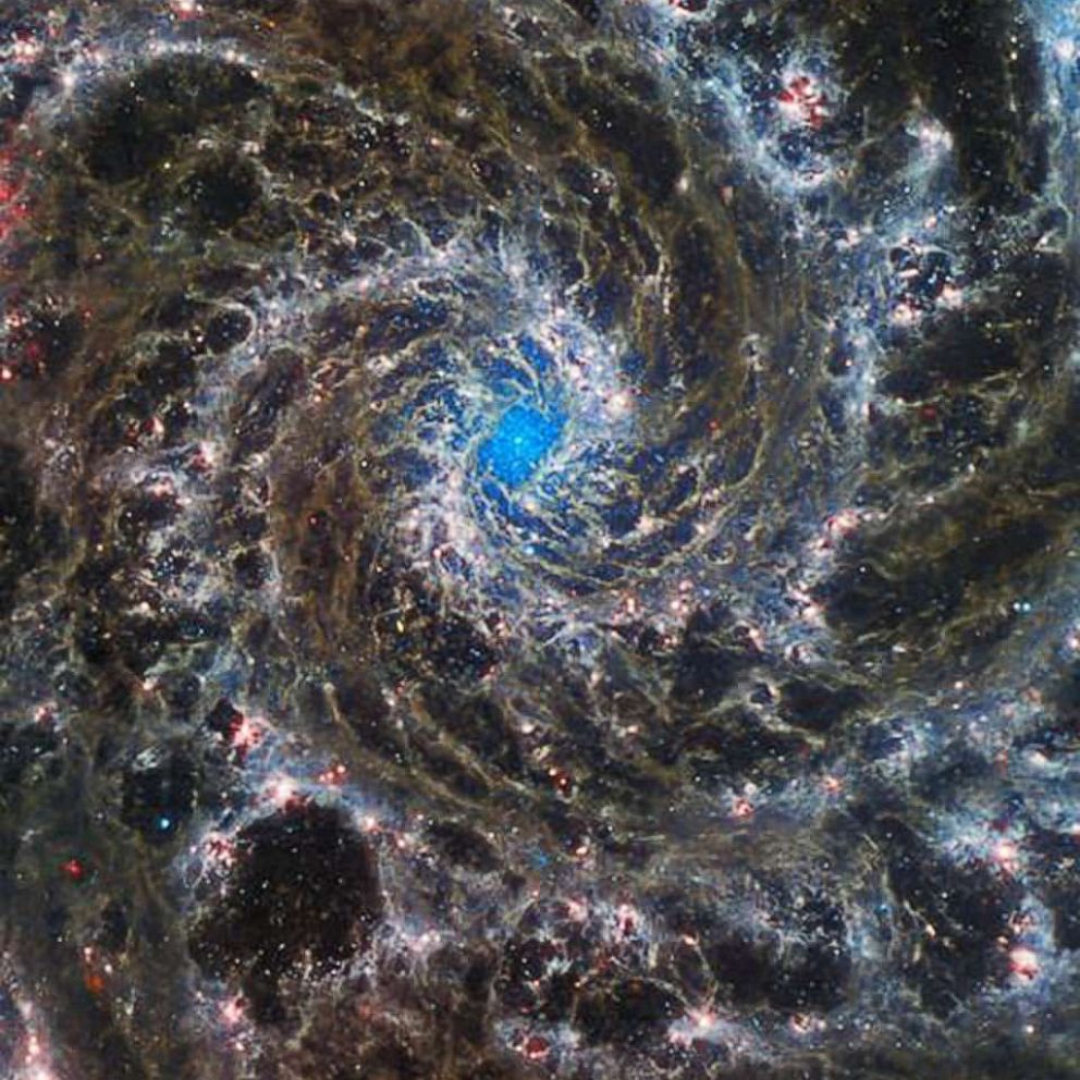 Webb Hubble capture dramatic image of heart of Phantom Galaxy  wltxcom