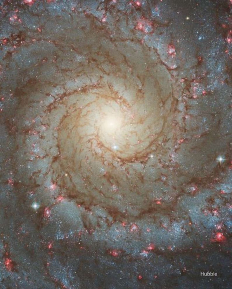 PHOTO: This image displays Hubble's optical view. The hypnotizing swirls of the Phantom Galaxy are magnificent in any light. 