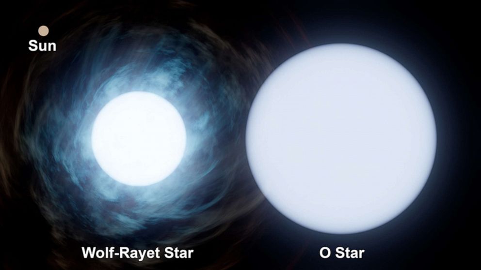 PHOTO: This graphic shows the relative size of the Sun, upper left, compared to the two stars in the system known as Wolf-Rayet 140. The O-type star is roughly 30 times the mass of the Sun, while its companion is about 10 times the mass of the Sun.