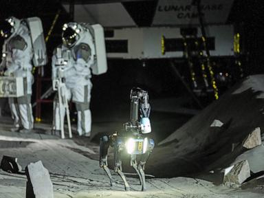 Though it's not the moon yet, it's the next best thing for European astronauts