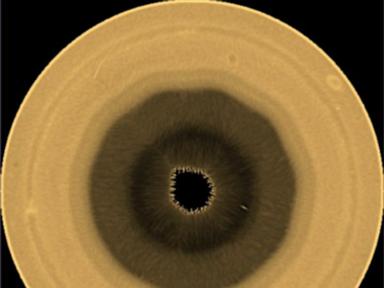 Atmospheric Dynamics of Saturns Decagon: Analyzing the Mechanics of Planetary Polygons