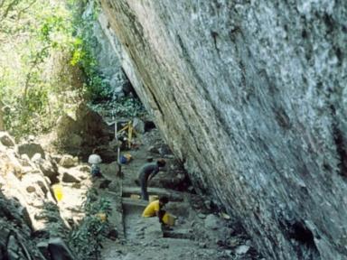 Giant sloths, mastodons coexisted with humans for millennia in Americas