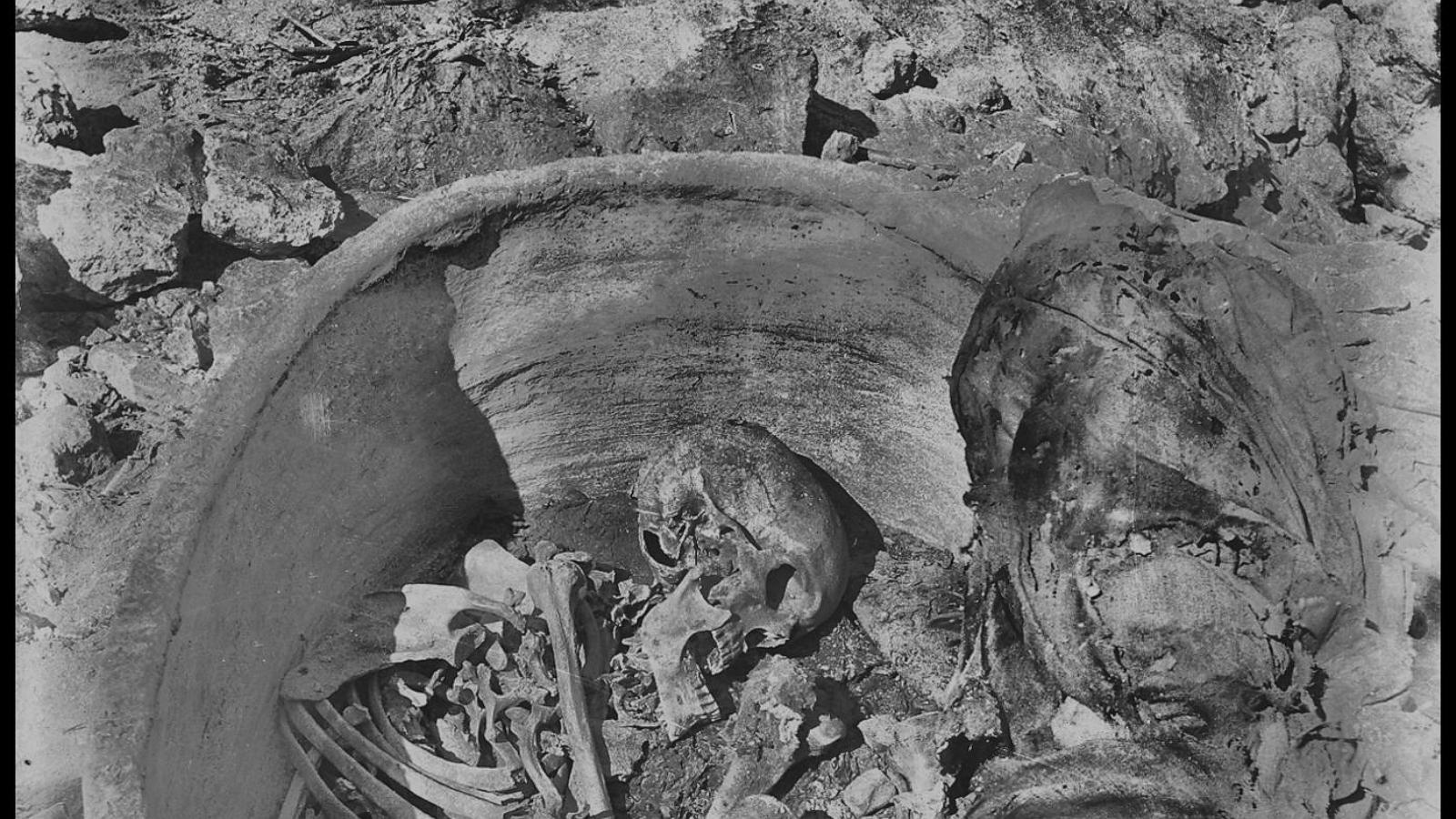 Ancient DNA shows genetic link between Egypt and Mesopotamia