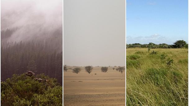 This combination of 2007, 2018 and 2012 photos shows, from left, the Cederberg mountain range in South Africa, the Tenere desert in Niger and savanna in South Africa. (AP Photo/Schalk van Zuydam, Jerome Delay, Matthew Craft)