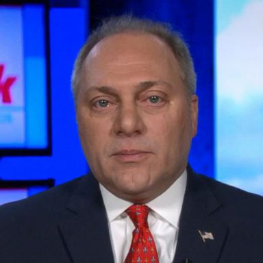 VIDEO: House GOP Whip Steve Scalise on talks to reopen government