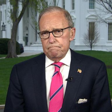 VIDEO: 1-on-1 with White House National Economic Council Director Larry Kudlow