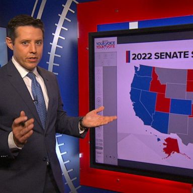 VIDEO: A look at the midterms ahead of new primary votes