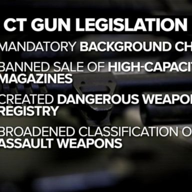 VIDEO: National gun reform efforts stalled since Sandy Hook