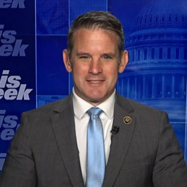 VIDEO: Election denial won’t 'go away organically,' American people must stand up: Kinzinger