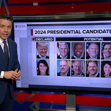 VIDEO: The Breakdown: Marianne Williamson could ‘mix things up’ in the primaries