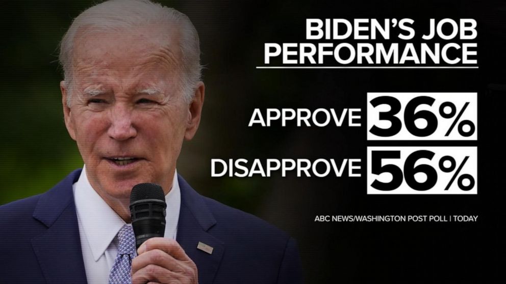 Video Recent polling for Biden should 'concern' the White House: Donna ...