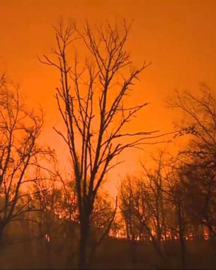 VIDEO: Guest cabins at Dollywood have been evacuated amid a series of raging wildfires nearby in Tennessee, according to a representative for the resort and the state's emergency management agency.