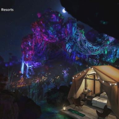 VIDEO: Glamping at Disney World is now a thing 