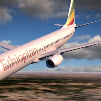 VIDEO: Damaged sensor led to Ethiopia plane crash: officials 