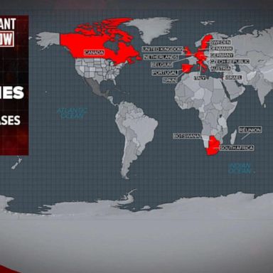 VIDEO: US and other countries impose travel bans due to omicron variant