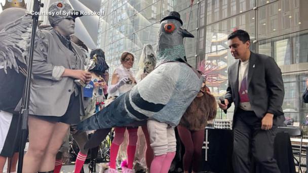 Woman wins award impersonating a pigeon