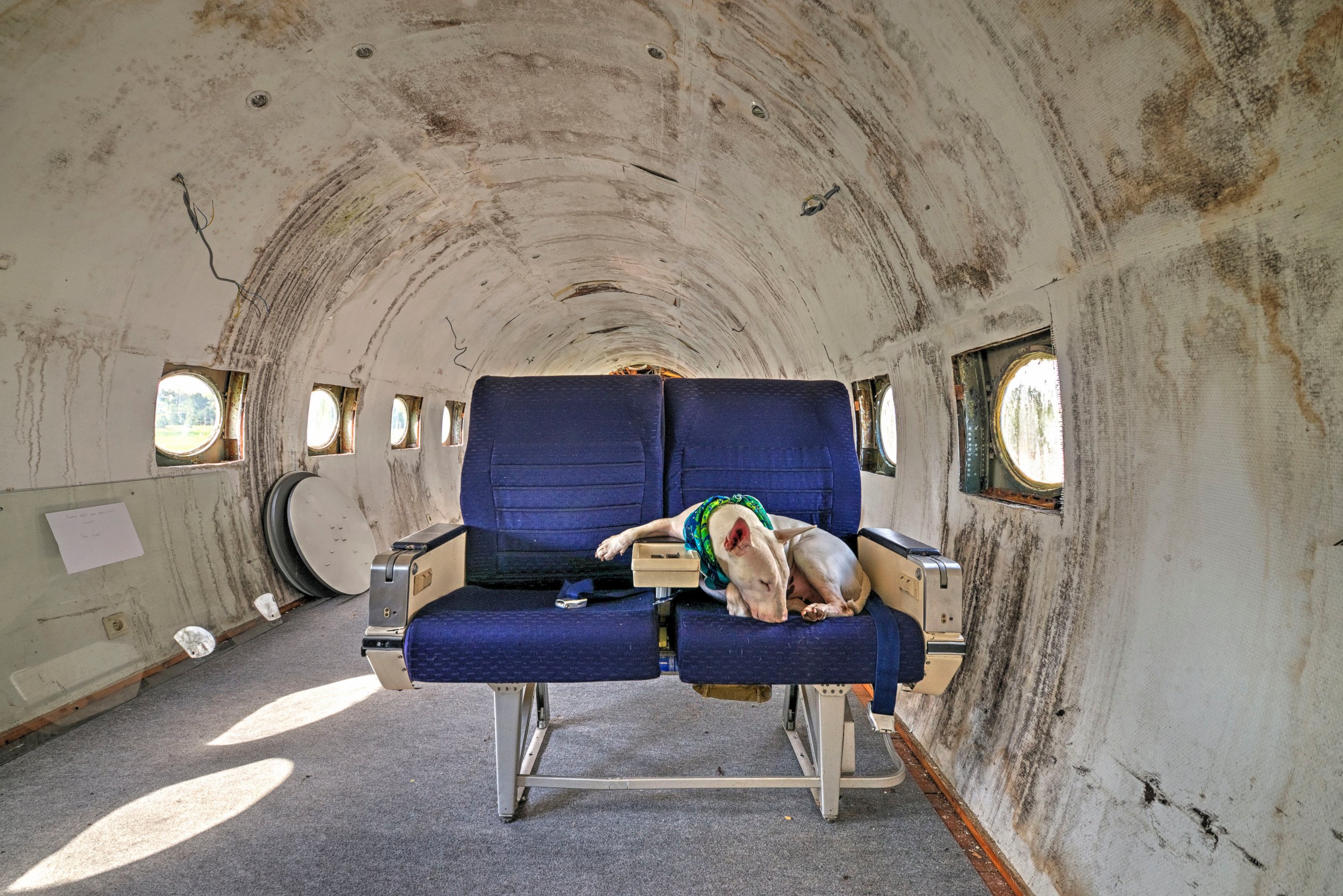 PHOTO: Claire pictured in an abandoned airplane in Belgium.