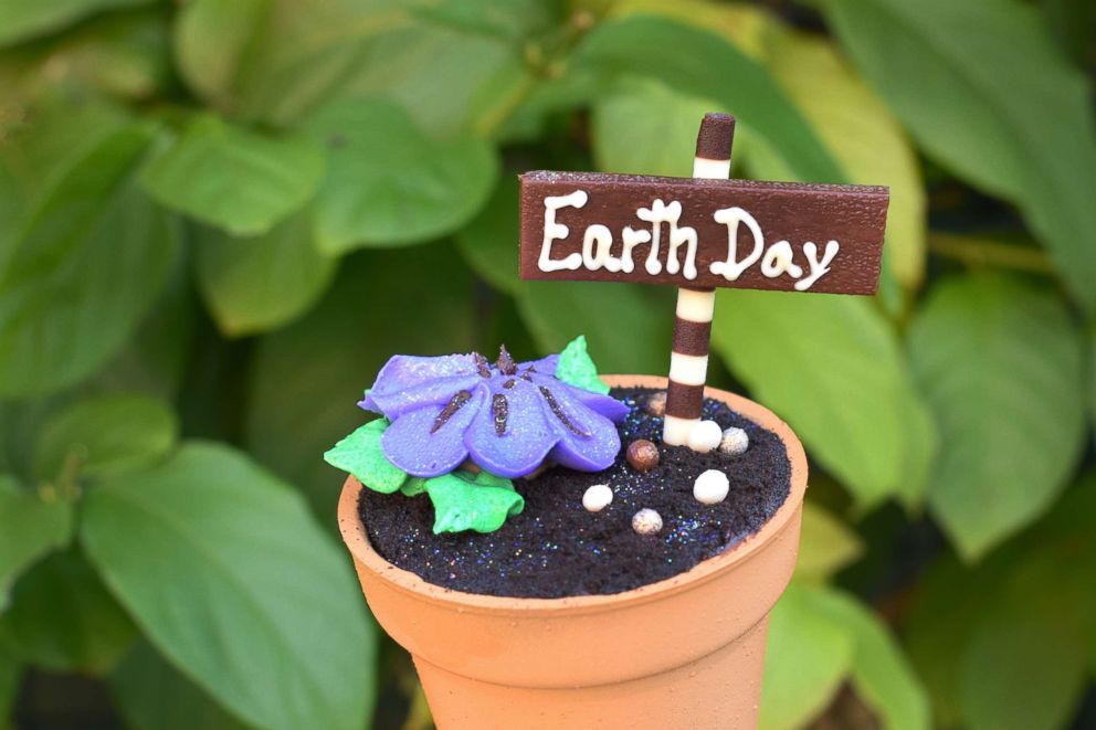 PHOTO: Available at Disney's Contempo Cafe, this chocolate cupcake comes in an edible chocolate flowerpot is filled with chocolate pastry cream, chocolate buttercream, and chocolate cookie crumble.